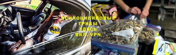 бошки Аркадак
