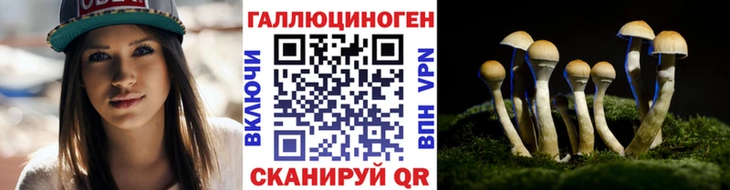 Псилоцибиновые грибы мицелий  Энем 